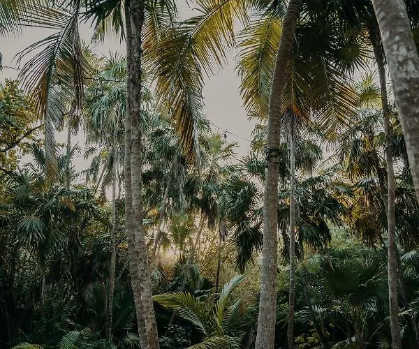 Hotel Ether Tulum