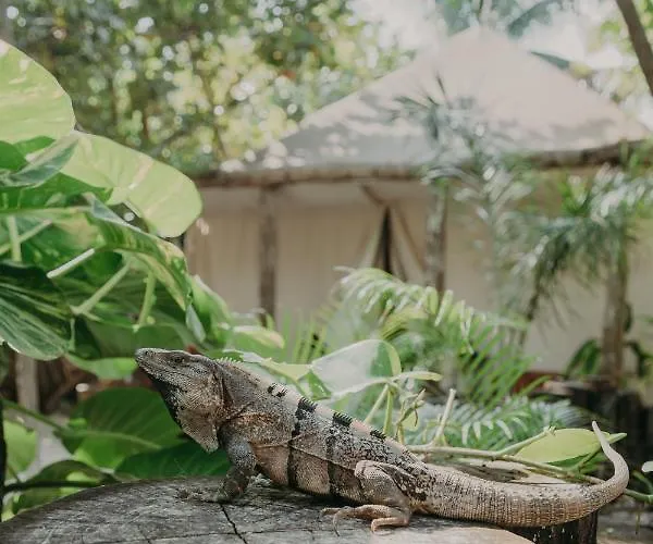 Ether Tulum