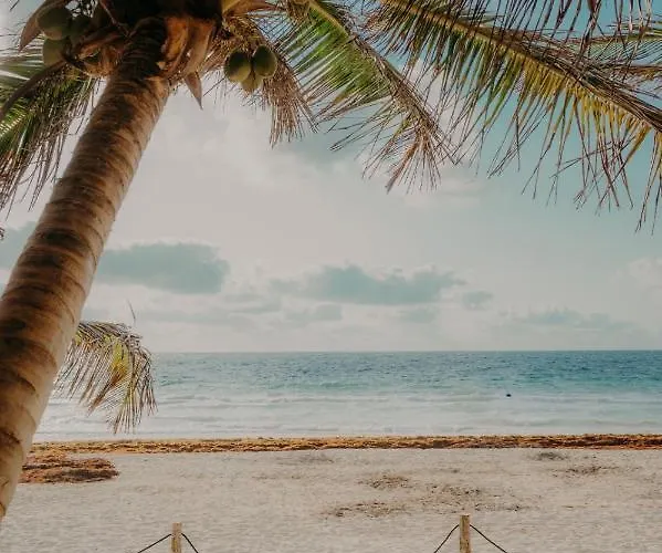 Ether 5* Tulum
